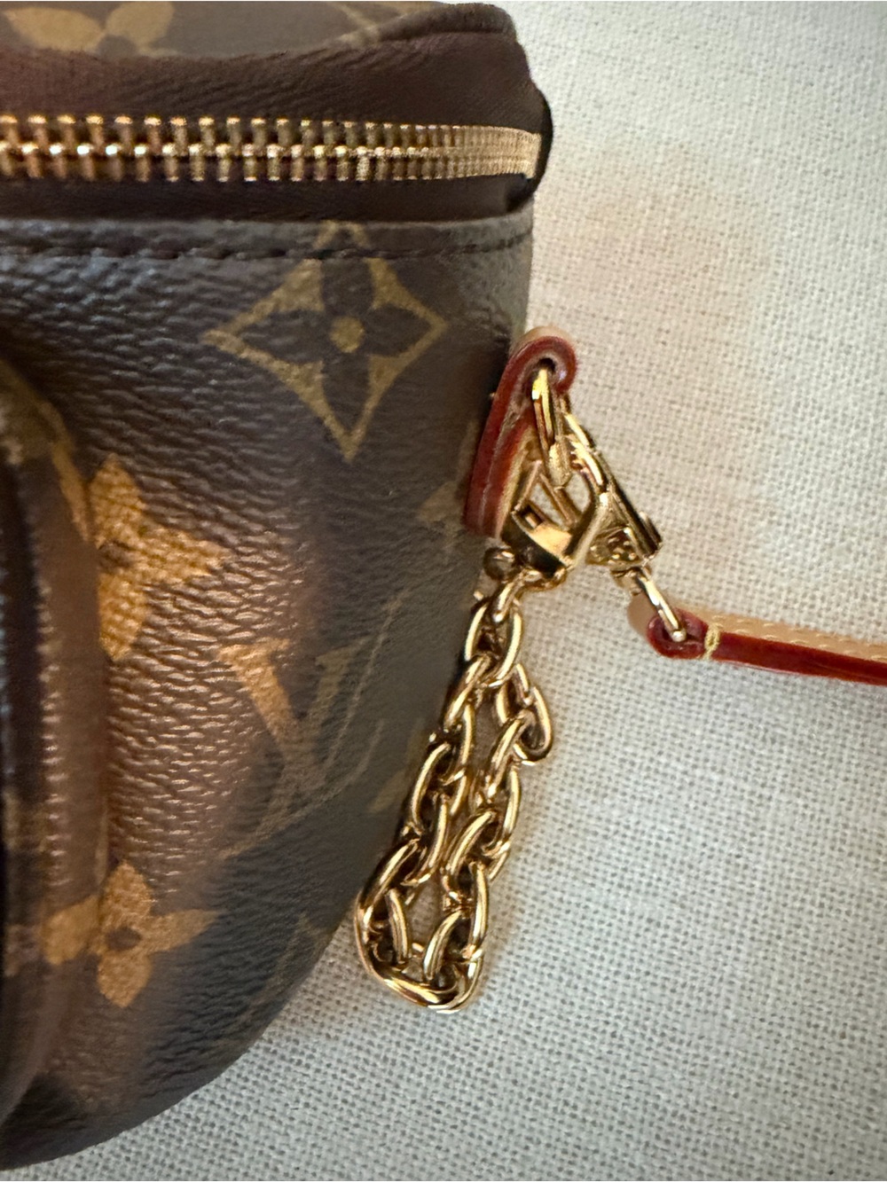 Louis Vuitton Monogram Mini Bag - Brown & Tan - Picture 7 of 13